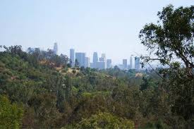 Elysian park