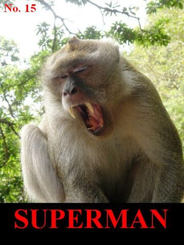 File:Superman 15.jpg