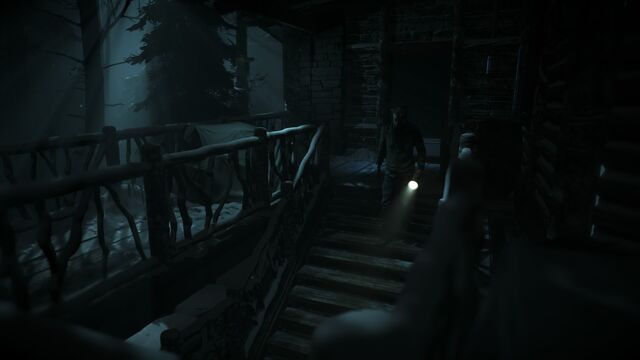 File:Until Dawn™ 20150826144824.jpg