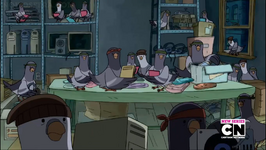 Pombos.png