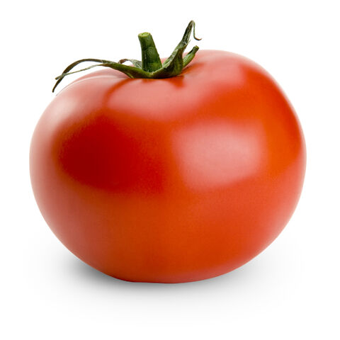 File:Tomato.jpg