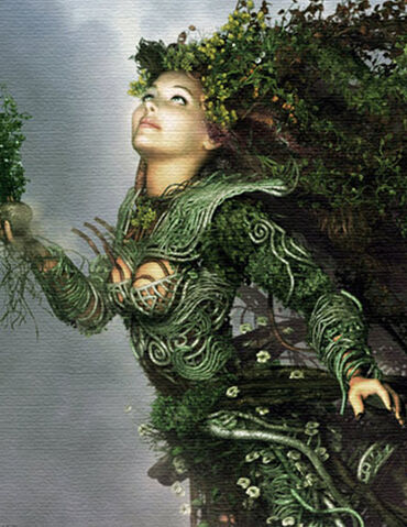 File:Miriade, the Evergreen.jpg