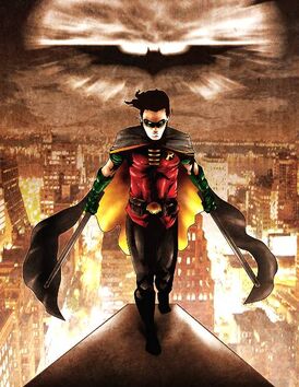 Robin01