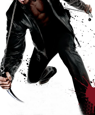 File:Shadow Scream(NA).png