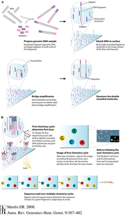 Illumina