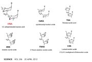 XNA fig1