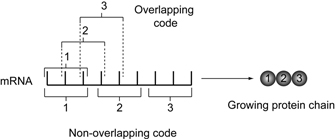 Overlap code