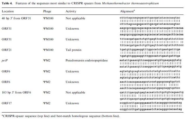 File:Alignment.jpg