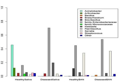 Jaw results 1