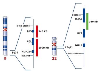 RTEmagicC dfb6c6b417.jpg