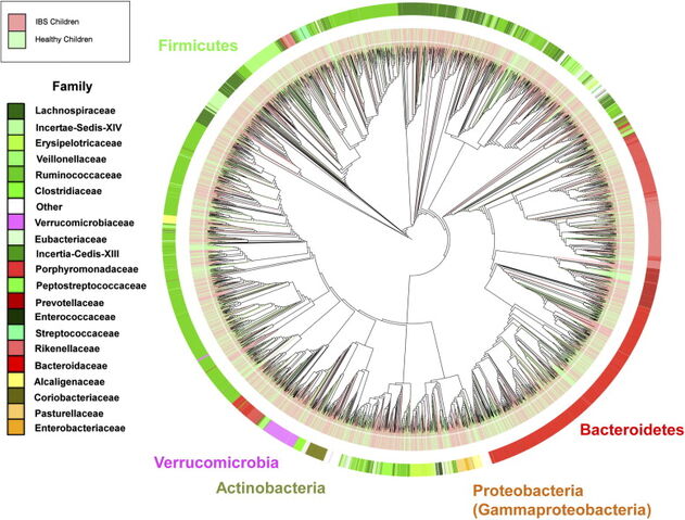 File:Microbiomibsnormal.jpg