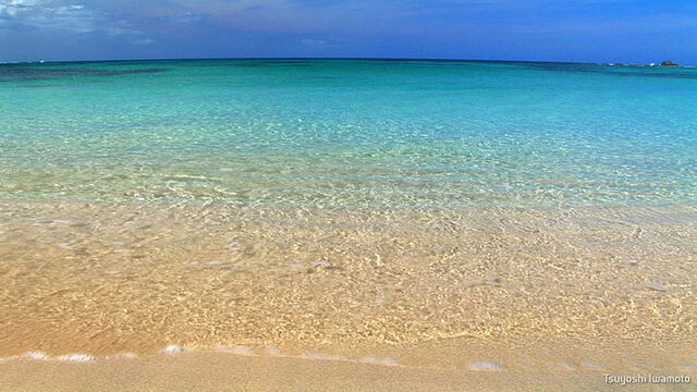 File:Strand.jpg