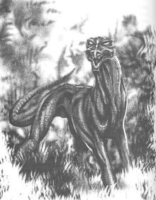 Wyrsa