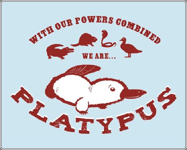 Soubor:We-are-platypus.jpg