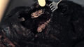 Thumbnail for version as of 18:04, August 19, 2011