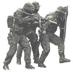 250px-Counterterrorismwiki