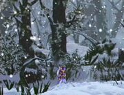 Forestofwoe1