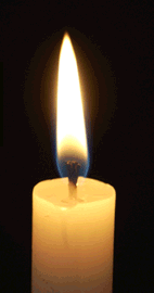 Vela.gif