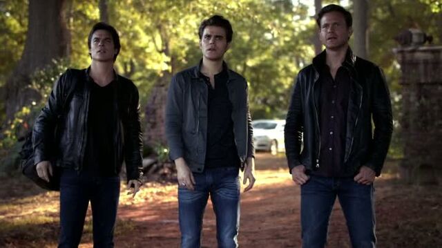 File:6X08-34-StefanDamonAlaric.jpg