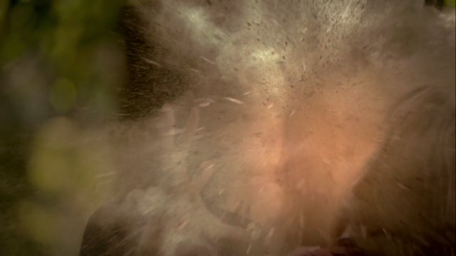 File:Wolfsbane Grenade 1.png