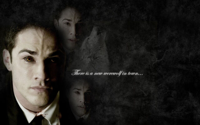 File:Tvd tyler by nikky81-d325ynz.jpg