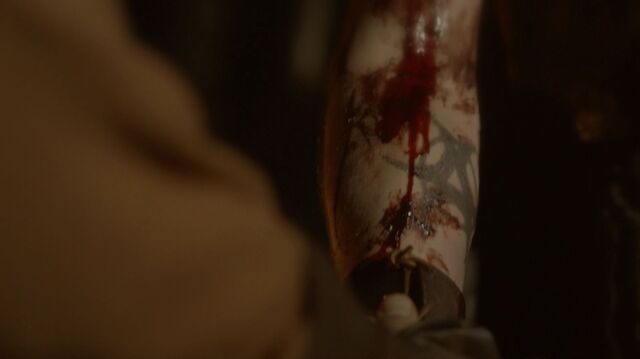 File:Normal TheOriginals206-1310.jpeg