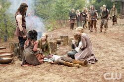 Vikings