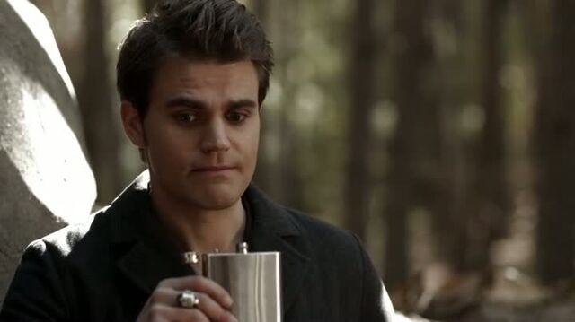File:6X13-77-Stefan.jpg