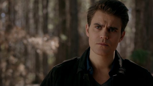 File:719-103-Stefan~Alaric.png