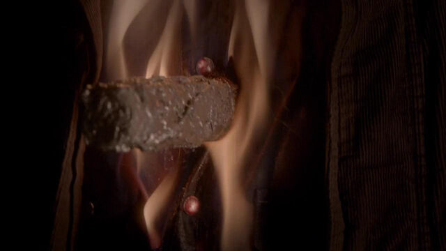 File:120-tvd-4x12-a-view-to-a-kill-theoriginalfamilycom.jpg