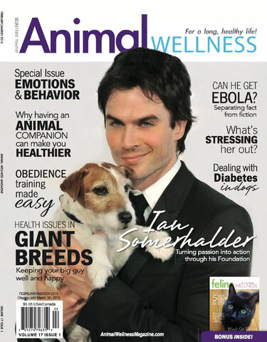 File:AnimalWellness 2015-03.jpg