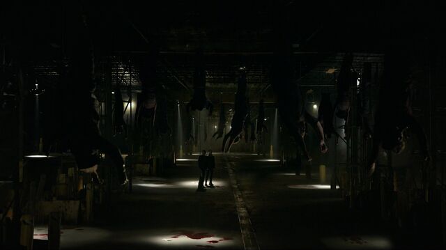 File:Dead Bodies 722.jpg (1).jpg