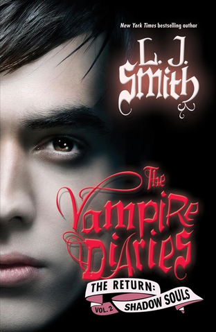 File:Tvd06 usa 2010.png