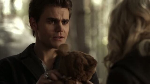 File:6X13-102-Stefan.jpg