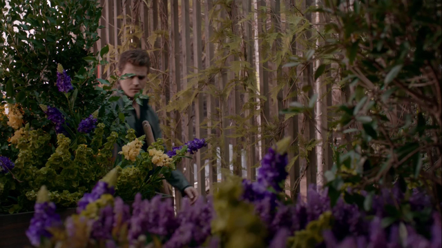 File:HerbsVervain.png
