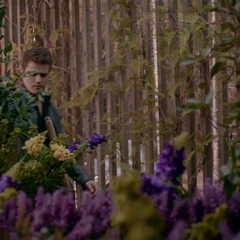 Vervain | The Vampire Diaries Wiki | FANDOM powered by Wikia