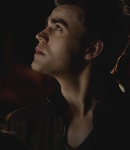 File:Stefan 5x8..jpg