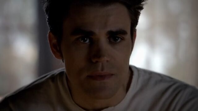 File:Stefan 3 TVD 5x06.jpg