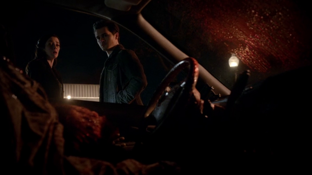 File:6X19-75-LilyEnzo.png