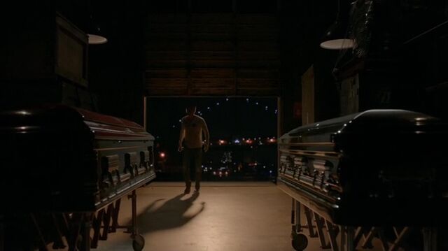 File:7X01-2-Stefan.jpg