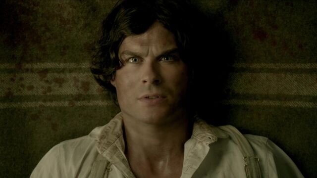 File:710-071-Damon.jpg