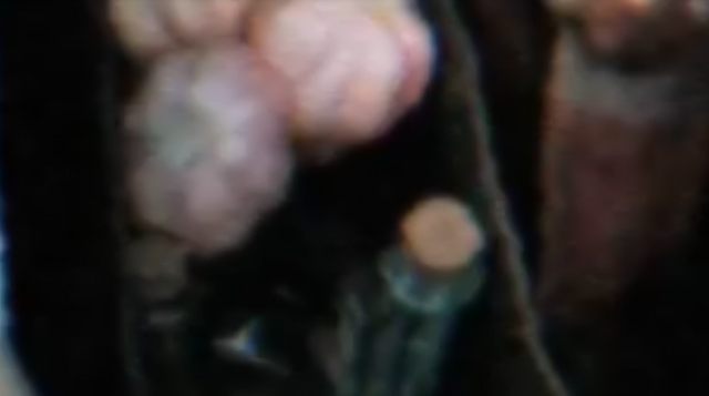 File:Stake.png