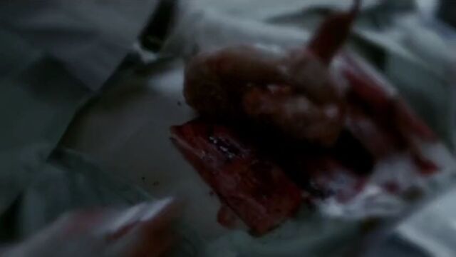 File:Torture times 8.jpg