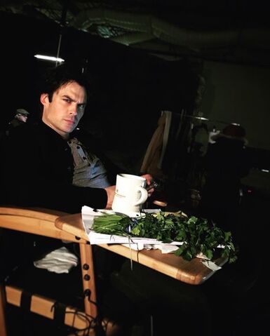 File:2016-02-26 Ian Somerhalder.jpg