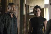 TO405promo Marcel-Sofya