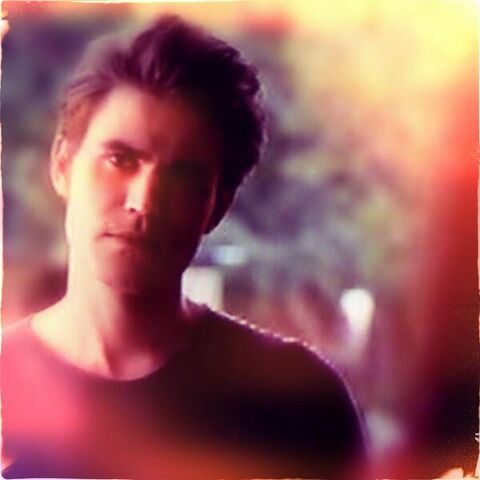File:Paulwes5x2.jpg