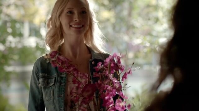 File:7X01-49-Caroline.jpg