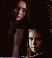 Katarina-katherine-pierce-16947824-500-560