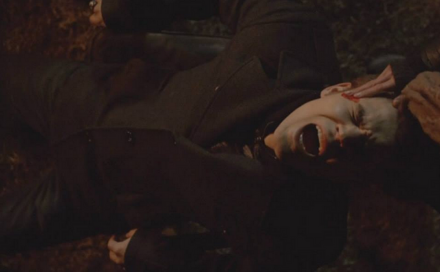 File:Stefan 5x16.-.png