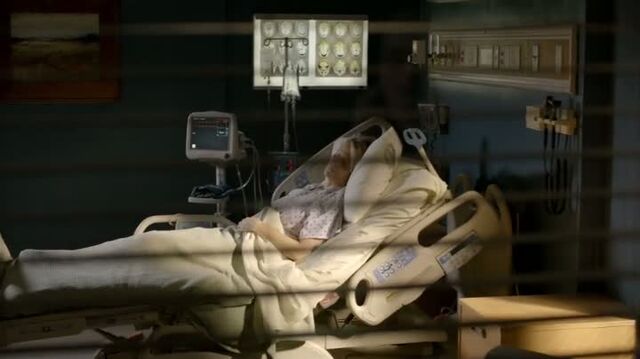 File:6X12-52-Liz.jpg